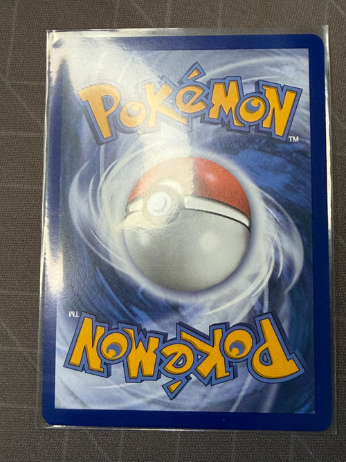 First Partner Illustrations Collection 2026 - Squirtle